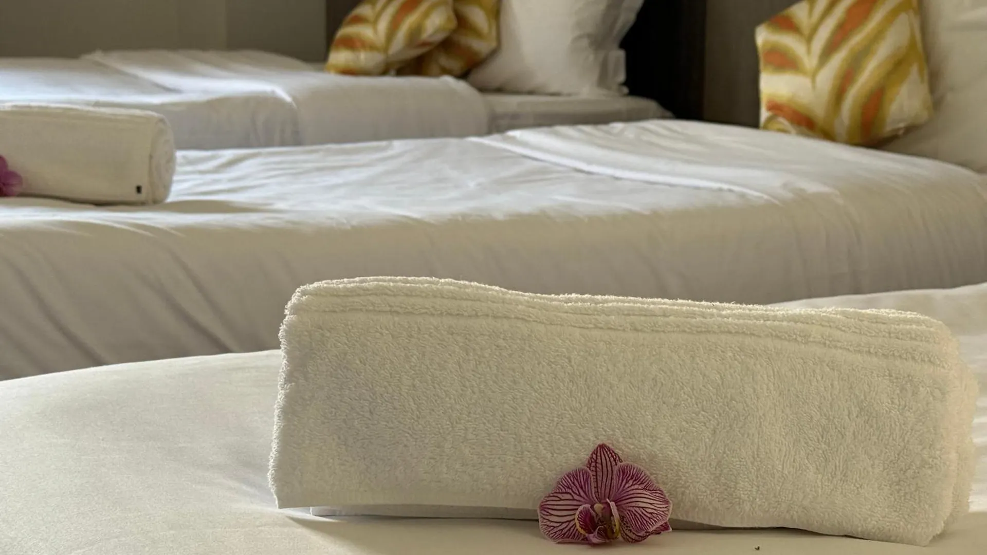 Le Victor Hugo - Hotel Et Restaurant - Logis Hotels Saint-Céré فرنسا